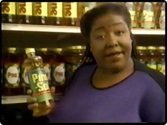 1993 Pine-Sol Image