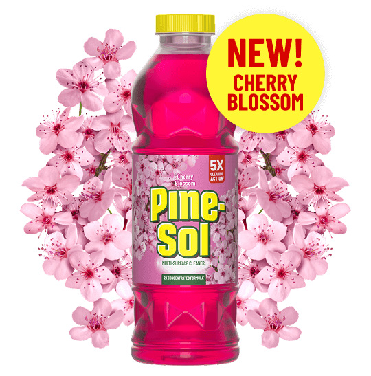 Cherry Blossom